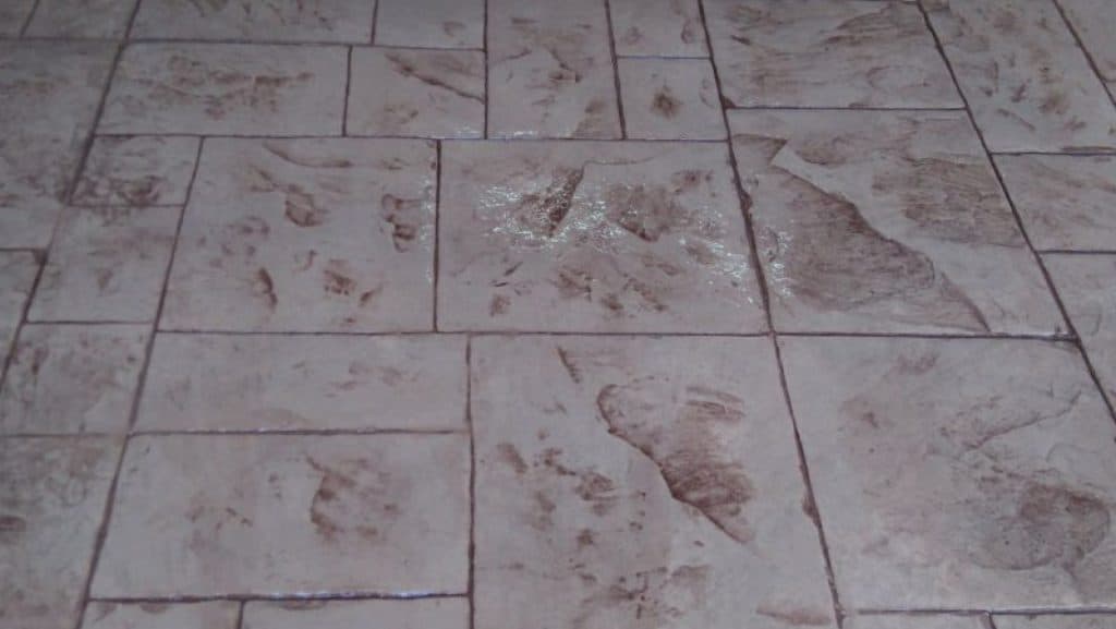 cropped-imagen-detalle-estampado-capuchino-capuchino-1024x577 ¿Qué es el concreto estampado?